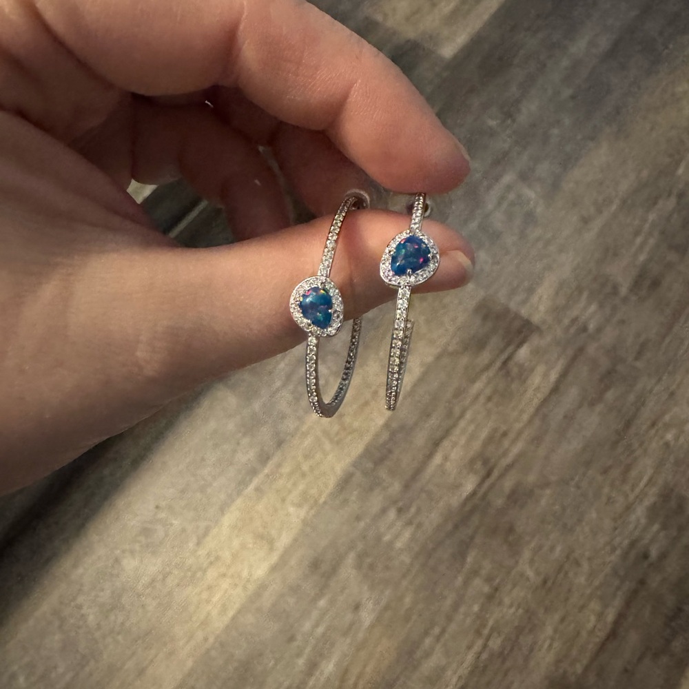 BP Silver Earrings with Blue Accents - Picture 3 of 3